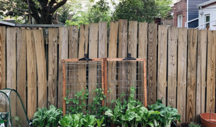 Raised Bed Gardening: Knowing The Basics